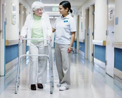 Senior Nursing Homes